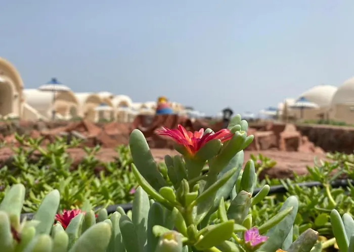 Lagona Village Üdülőközpont Dahab